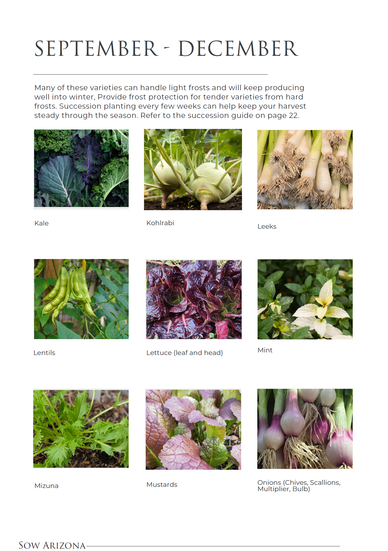 A Desert Gardener’s Planting Calendar for Vegetables & Herbs